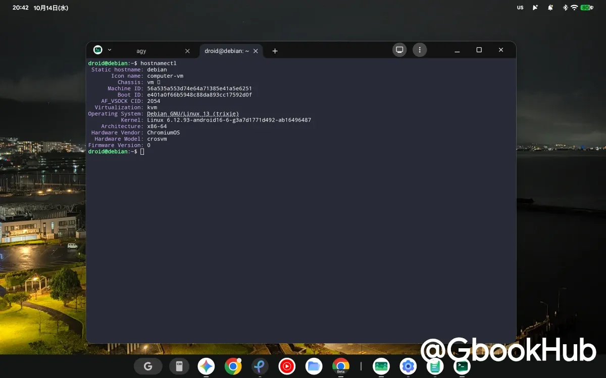 Googlebook Linux Terminal Screenshot