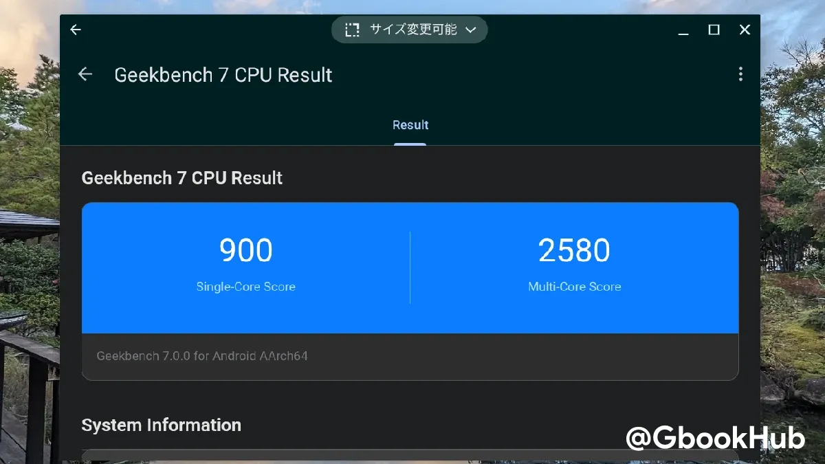 Geekbench 7 Test Chromebook Result